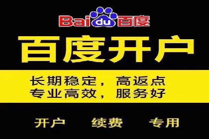 SEM推广案例：行业竞争分析